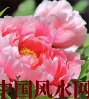 巴中预示你财运上升，姻缘可成的梦境，快来看看吧！