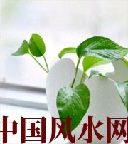 巴中家中摆放六种吉祥物，会打开您的财运大门！
