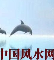 巴中做梦梦到这些，是要富裕的征兆！